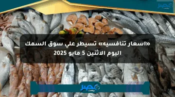 «أسعار تنافسية» تسيطر على سوق السمك اليوم الإثنين 5 مايو 2025
